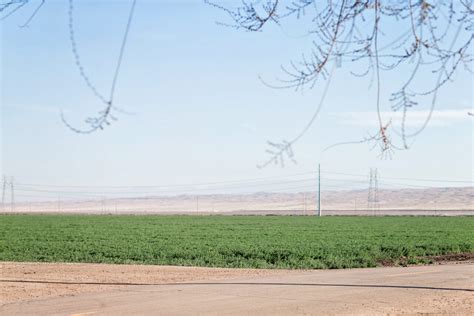 Home Elk Grove Farming