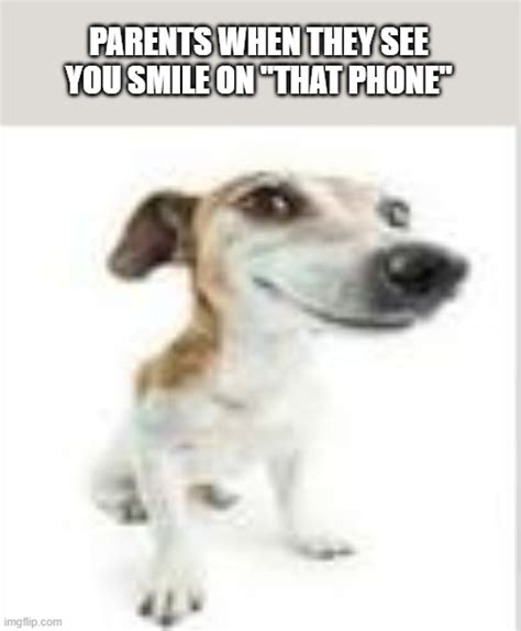 goofy dog Memes & GIFs - Imgflip