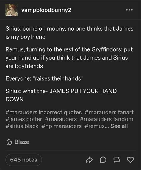 Pin By Tulip On Harry Potter Memes Gay Harry Potter Harry Potter Marauders Harry Potter Funny