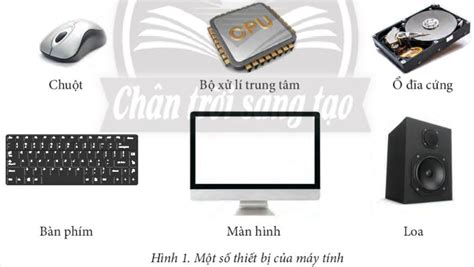 Giải SGK Tin học 7 Bài 1 (Chân trời sáng tạo): Thiết bị vào và thiết bị ra