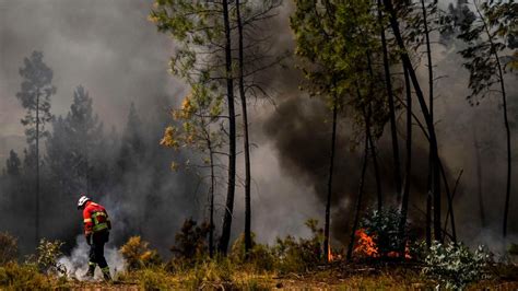 Waldbr Nde W Ten In Portugal Tagesschau De