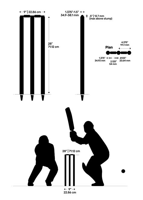 Cricket Pitch Dimensions & Drawings | Dimensions.com