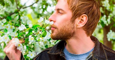 La Primavera Y Otras Cosas Que Huelen A Semen Shangay