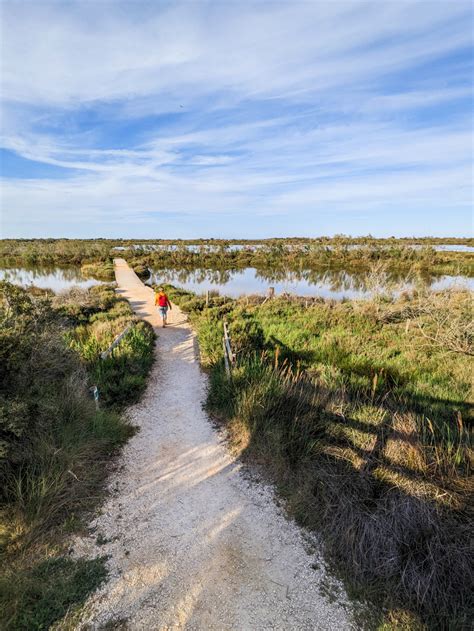 Pont De Gau Camargue Les M En Vadrouille Blog Voyage