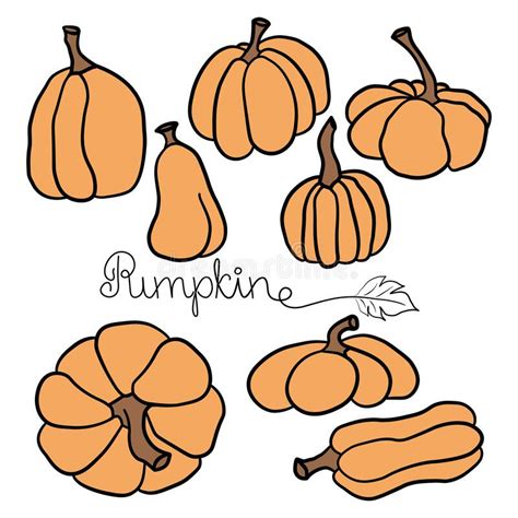 Pumpkin Icon Vector Illustration Set In Two Styles Autumn Halloween Or