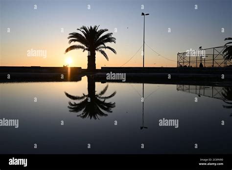 Beautiful Reflection Palm Tree At Caddebostan İstanbul Stock Photo Alamy