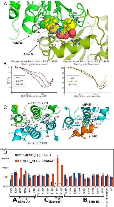 Figure From The Structure Of The Complex Between The Translation