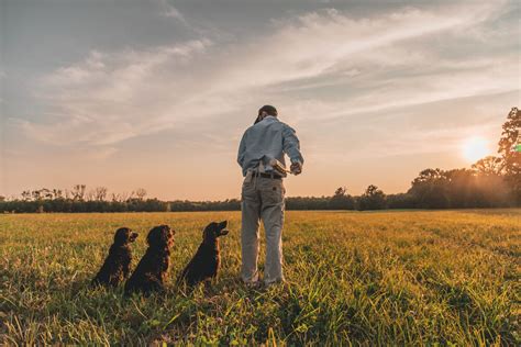 Boykin Spaniel Training — Valley Way Kennels