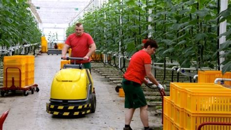 Njemačka Kao Primjer Poljoprivredne Budućnosti Eko Proizvodnja