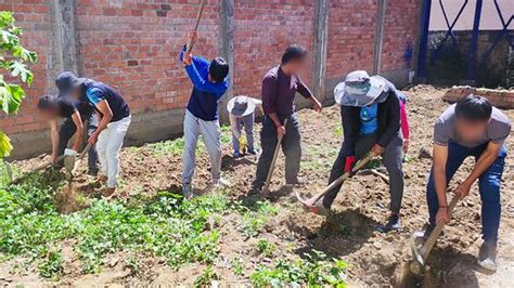 Adolescentes Del SOA Huaraz Realizaron Siembra De Hortalizas Noticias