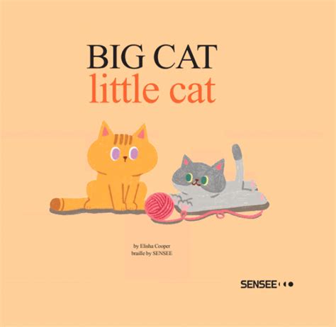 Big Cat Little Cat - SENSEEBOOKS