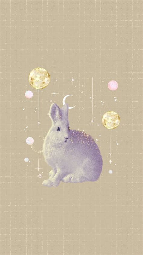 White bunny iPhone wallpaper, animal | Premium Photo - rawpixel