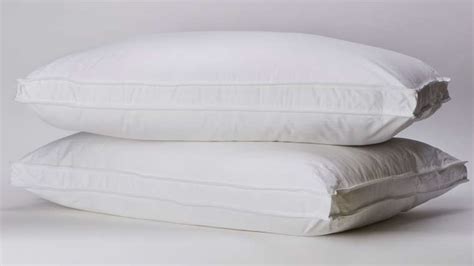 Pillow Synthetic White Swan Dry Cleaners