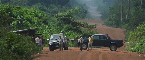 Cambodia Illegal Logging Harming Indigenous Peoples Rights And