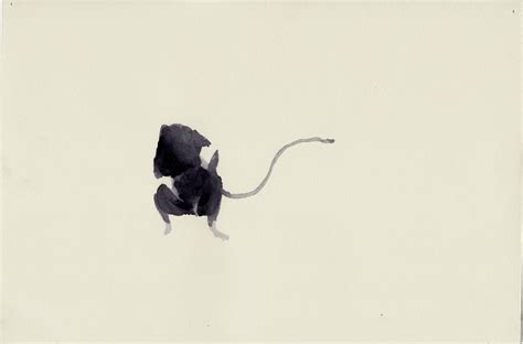 50 drawing series on my pet mouse. on Behance