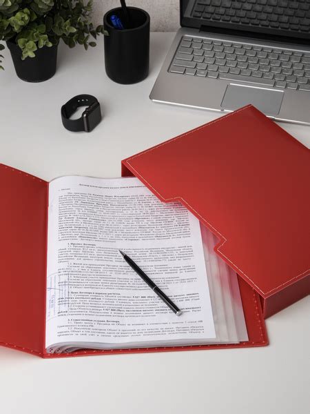 Kanzfile Папка с файлами A4 (21 × 29.7 см), 1 шт. - купить с доставкой ...