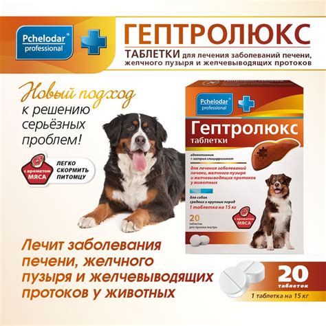 Гептролюкс, средство для лечения заболеваний печени, желчного пузыря и ...