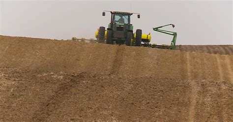 Minnesota Corn Soybean Crop Development Ahead Of Average CBS Minnesota