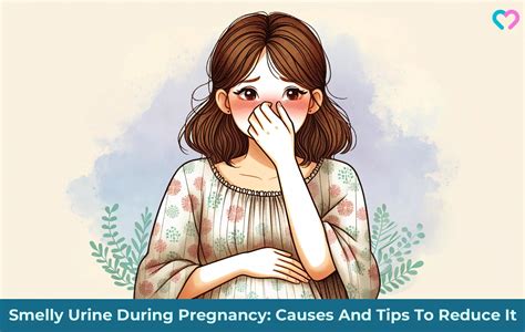 Smelly Urine During Pregnancy: Causes And Tips To Reduce It