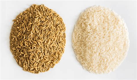 White Rice Vs Brown Rice Impact On Glucose Levels And How To Choose