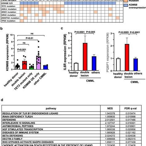 Co Occurrence Of Tet2 Mutations And Kdm6b Overexpression In Human Download Scientific Diagram