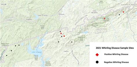 SCDNR - Trout - Whirling Disease