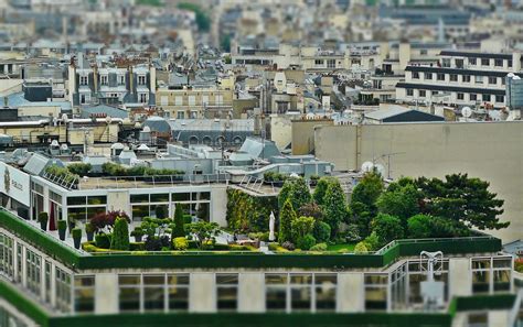 Ferme Urbaine Principes Et Avantages De Cette Agriculture