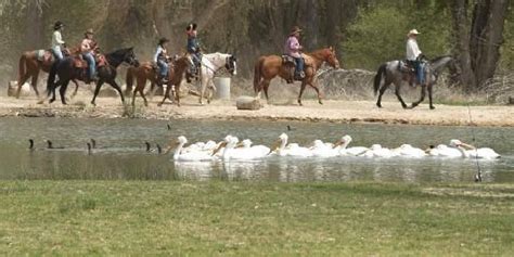 Mojave Narrows Regional Park Camping | Mojave, Victorville, San ...