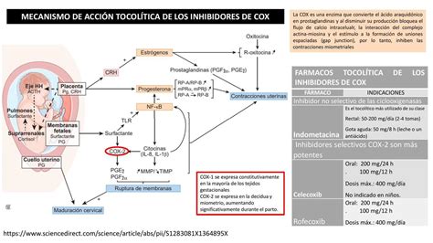 Mecanismo de Acción Tocológica de los Inhibidores de Cox RUTH