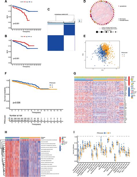 Frontiers Identification Of Pyroptosis Related Gene Signatures And