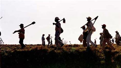 Dia Internacional De Luta Dos Trabalhadores Do Campo Portal C