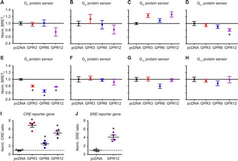 Quantitative Assessment Of Constitutive G Protein Coupled Receptor Activity With Bret Based G