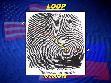 Fingerprint Classification- Loop Patterns | PPT | Free Download