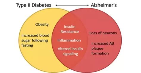 Alzheimer's Disease is linked to Type 2 Diabetes by a Mechanism ... 
