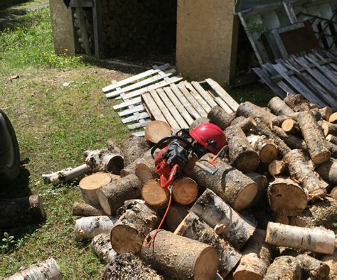 Bois De Chauffage En Terre Publique Cieu Fm La Radio De