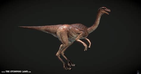 Gallimimus Pictures & Facts - The Dinosaur Database