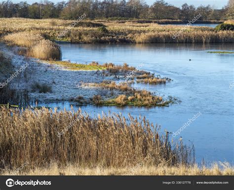 North Cave Wetlands, East Yorkshire, England, in winter ⬇ Stock Photo, Image by © AngieC333 ...