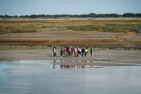 10 RANDONNÉES et BALADES à faire en Baie de Somme