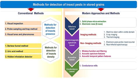 Frontiers A Comprehensive Review On Advances In Storage Pest