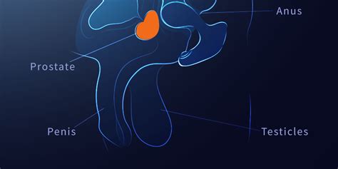 Iso Bsci Factory Remote Control Mode Pulsation Vibrator And Inflatable Massager Anal Vibrator