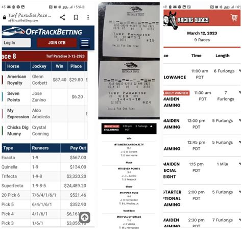 Aqueduct Picks: The Ultimate Guide to Winning Big - 8jzfz68