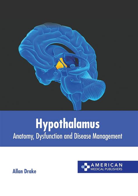 Hypothalamus Anatomy Dysfunction And Disease Management