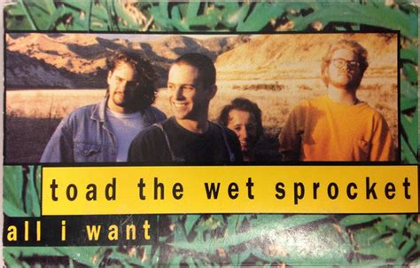 Toad The Wet Sprocket – All I Want (1992, Cassette) - Discogs