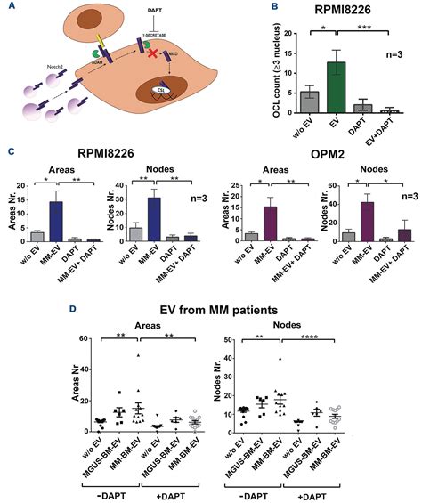 Extracellular Vesicles Mediate The Communication Between Multiple