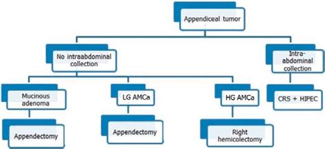 Treatment Algorithm For Appendiceal Mucinous Tumours Amca