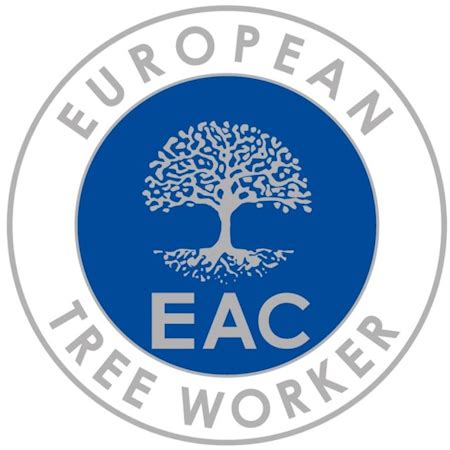 Pruimenbomen Laten Snoeien European Tree Worker Gecertificeerd