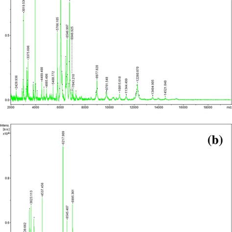 Maldi Toftof Mass Spectra Of Strains H Uvarum Mp 1 A And S