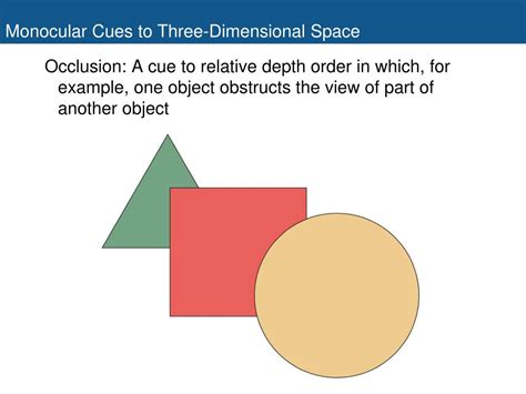 Ppt Space Perception And Binocular Vision Powerpoint Presentation