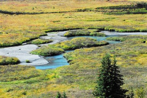 Marshes in Canada stock image. Image of canada, canadian - 60241271