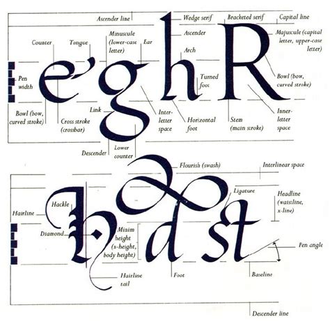 Anatomy Of A Letter Anatomy